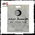 Custom logo non woven shopping bag